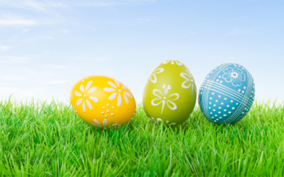Caça aos ovos: uma atividade para estimular a cooperação e a resiliência